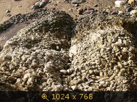 Море, Россия, картинка 3293637.jpg