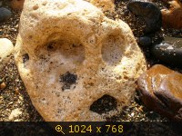 Море, Россия, картинка 3293647.jpg