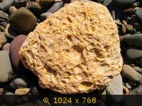 Море, Россия, картинка 3293666.jpg