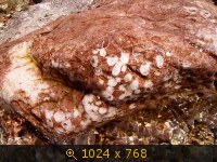 Море, Россия, картинка 3293676.jpg