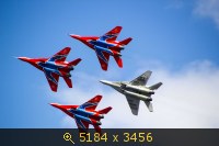 Стрижи в Чебоксарах 2015