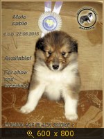 Животные, Украина, картинка 3439481.jpg