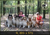 Животные, Украина, картинка 3441523.jpg