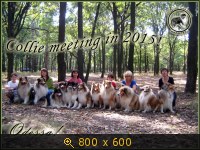 Животные, Украина, картинка 3441525.jpg