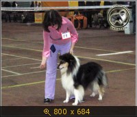 Животные, Украина, картинка 3453141.jpg