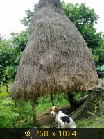 Пейзаж, картинка 3454415.jpg