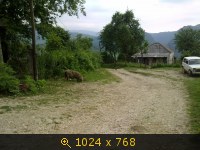 Пейзаж, картинка 3454423.jpg