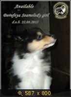 Животные, Украина, картинка 3458932.jpg