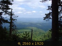 Вид на Фирсову поляну