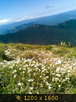 Вид на ск. Колокольня