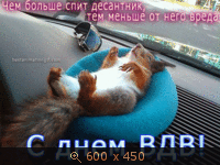 праздники, картинка 3527019.gif