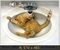 ДОБРОЕ УТРО!, картинка 3527149.jpg