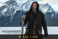 КаГал им Щаранского, картинка 3527378.jpg