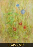 Разнотравье