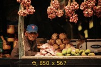 Старик-продавец кактусов в Бараоне