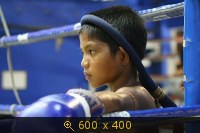 Тайский бокс для детей 8 963 7117686