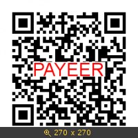 PAYEER QR