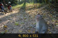 Транспорт, Камбоджа, картинка 301674.jpg